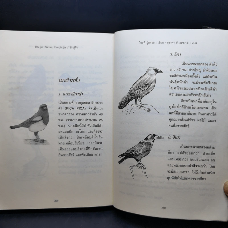 ONE FOR SORROW TWO FOR JOY.. บินสู่ฝัน - ไคลฟ์ วู้ดดอล รูปที่ 11