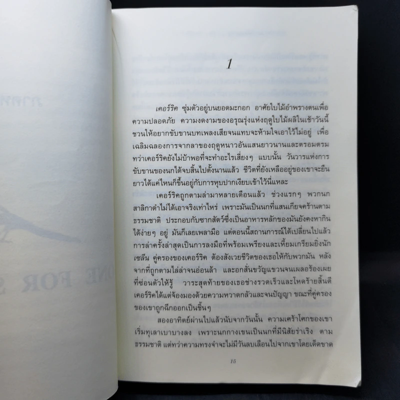 ONE FOR SORROW TWO FOR JOY.. บินสู่ฝัน - ไคลฟ์ วู้ดดอล รูปที่ 10