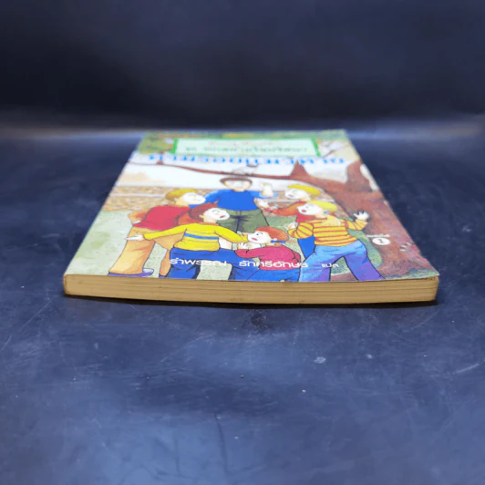 ชุด หกสหายไขปริศนา เล่ม 2 ตามรอยแมวหาย รูปที่ 4