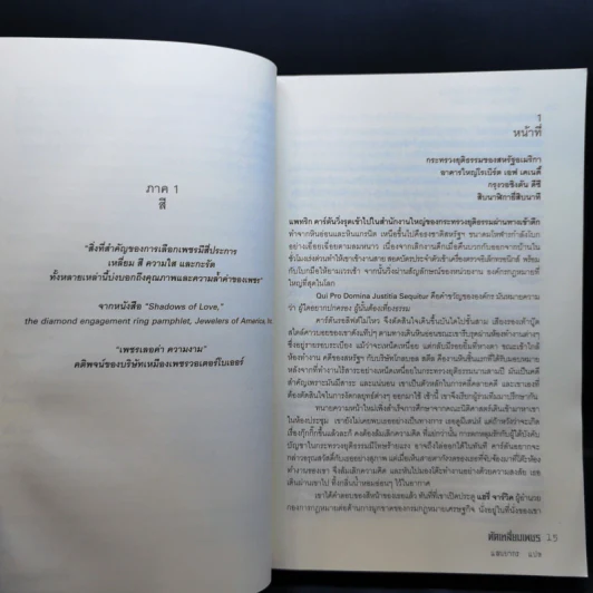 Diamond Conspiracy ตัดเหลี่ยมเพชร - Nicolas Kublicki รูปที่ 10