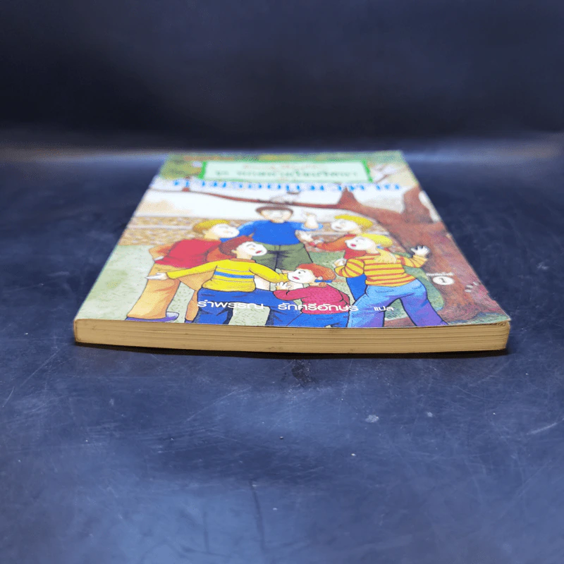 ชุด หกสหายไขปริศนา เล่ม 2 ตามรอยแมวหาย รูปที่ 4