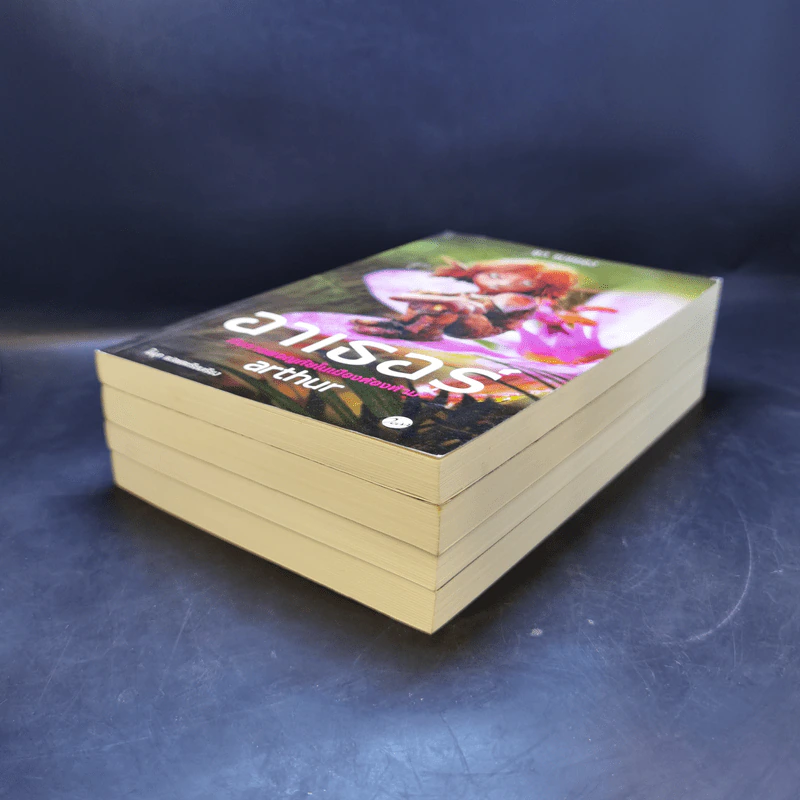 อาเธอร์ Arthur Boxset 4 เล่มจบ - ลุก แบซซอง รูปที่ 9