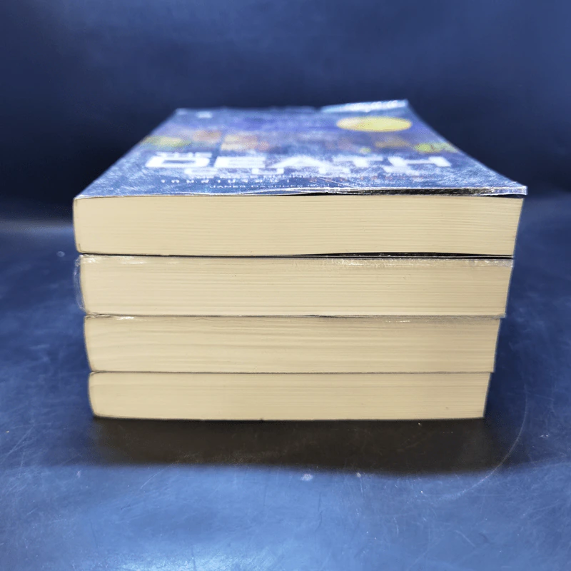 The Maze Runner เกมล่าปริศนา เล่ม 0-3 - James Dashner รูปที่ 3