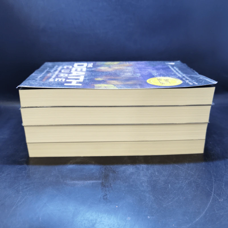 The Maze Runner เกมล่าปริศนา เล่ม 0-3 - James Dashner รูปที่ 4