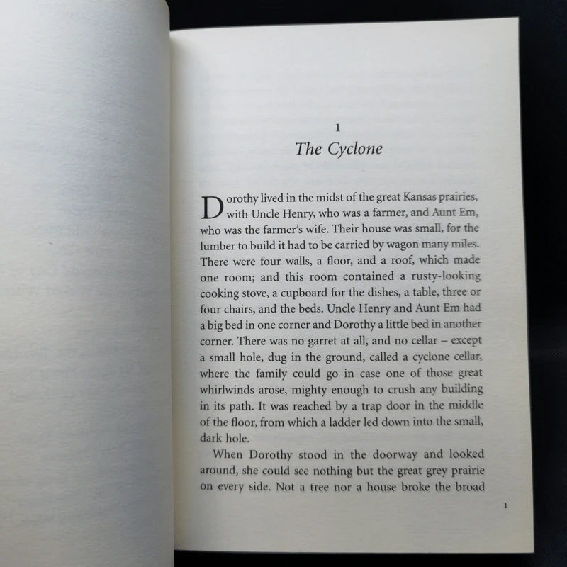 The Wizard of Oz - L.Frank Baum รูปที่ 11