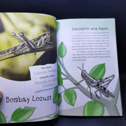 Edible Insects and Other Natural Sources of Nutrients รูปที่ 13