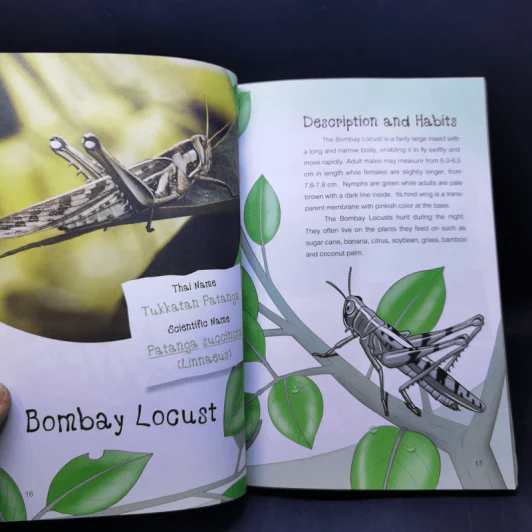 Edible Insects and Other Natural Sources of Nutrients รูปที่ 13