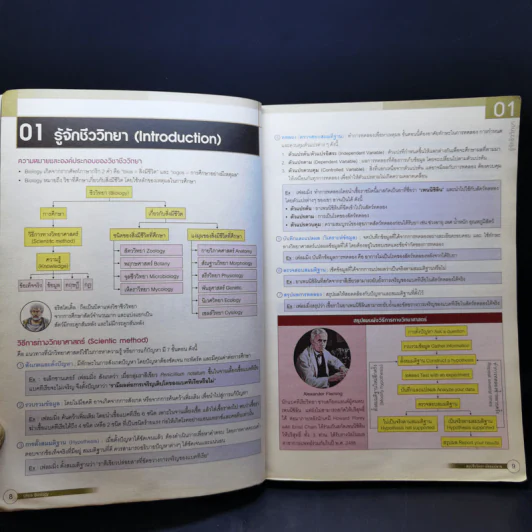 Ultra Biology สรุปชีววิทยา มัธยมปลาย รูปที่ 11