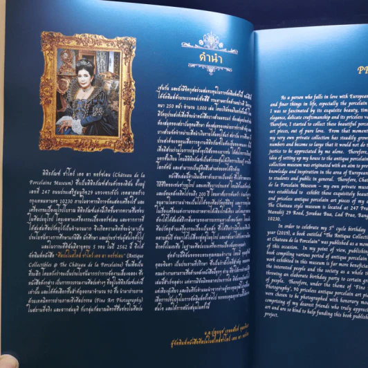 ศิลปะสไตล์ชาโดว์ เดอ ลา พอร์ซเลน รูปที่ 8