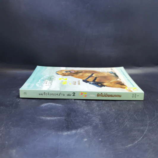 ผมชื่อคิงคองคร้าบ เล่ม 2 ตอน รักไม่มีพรมแดน - วัสชนะ พรหมประสิทธิ์ รูปที่ 3