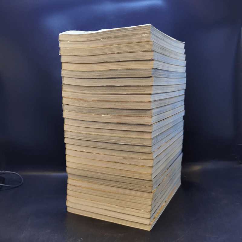 ล่าขุมทรัพย์สุดขอบฟ้า เล่ม 1-28 รูปที่ 6