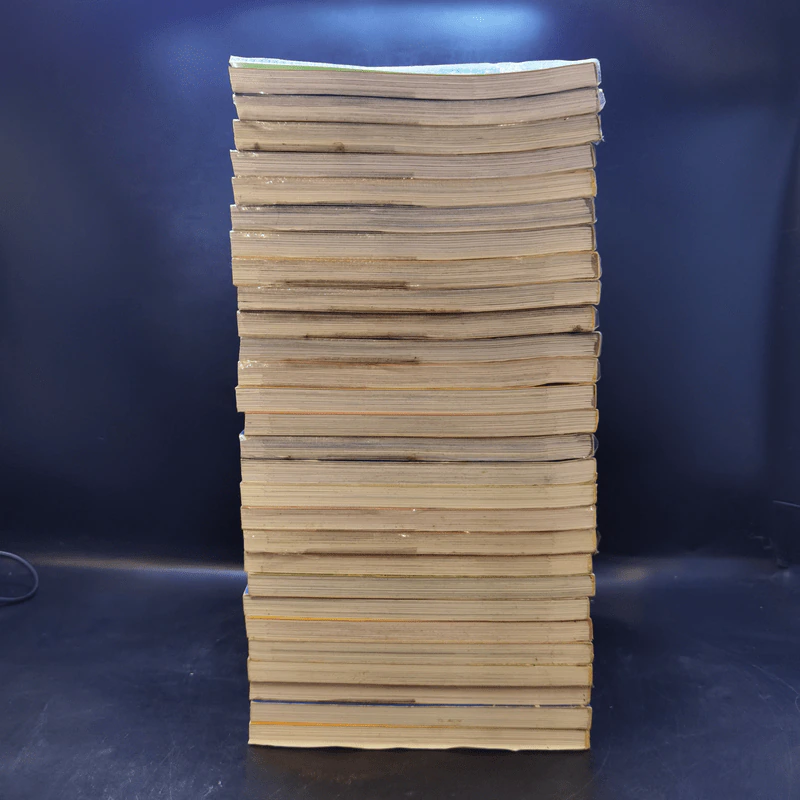 ล่าขุมทรัพย์สุดขอบฟ้า เล่ม 1-28 รูปที่ 5