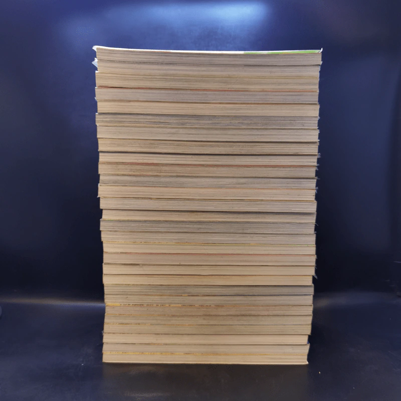 ล่าขุมทรัพย์สุดขอบฟ้า เล่ม 1-28 รูปที่ 4