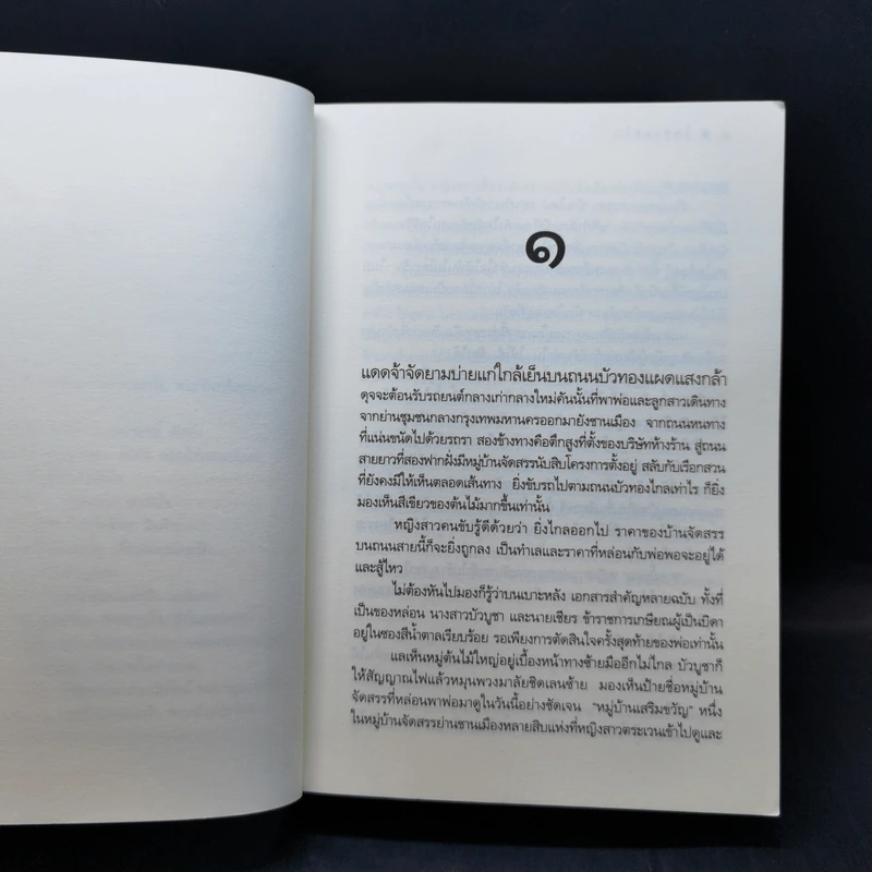 ในสวนขวัญ - ดวงตะวัน รูปที่ 9