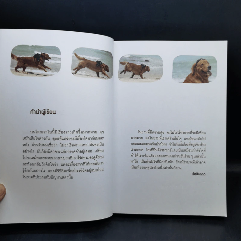 ผมชื่อคิงคองคร้าบ เล่ม 2 ตอน รักไม่มีพรมแดน - วัสชนะ พรหมประสิทธิ์ รูปที่ 9