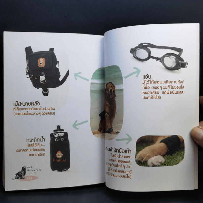 ผมชื่อคิงคองคร้าบ เล่ม 2 ตอน รักไม่มีพรมแดน - วัสชนะ พรหมประสิทธิ์ รูปที่ 12