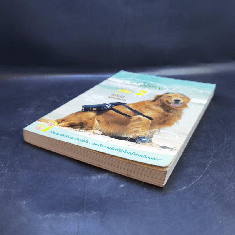 ผมชื่อคิงคองคร้าบ เล่ม 2 ตอน รักไม่มีพรมแดน - วัสชนะ พรหมประสิทธิ์ รูปที่ 7