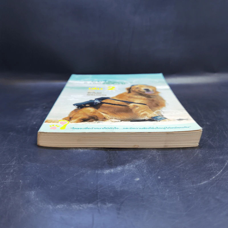 ผมชื่อคิงคองคร้าบ เล่ม 2 ตอน รักไม่มีพรมแดน - วัสชนะ พรหมประสิทธิ์ รูปที่ 4