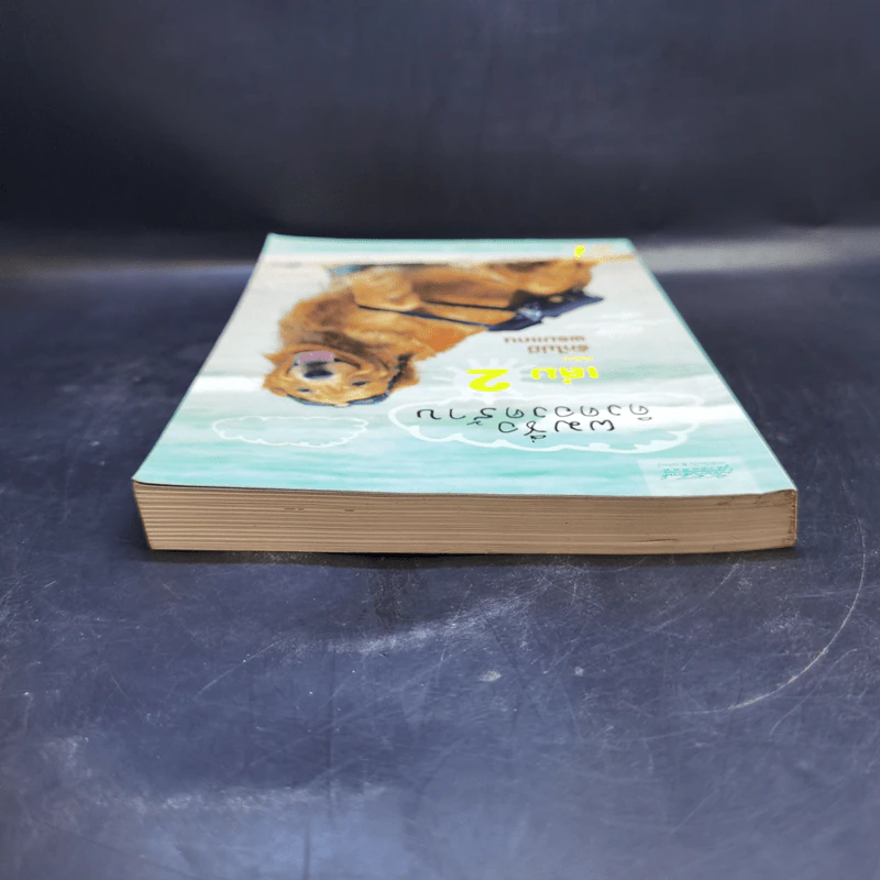 ผมชื่อคิงคองคร้าบ เล่ม 2 ตอน รักไม่มีพรมแดน - วัสชนะ พรหมประสิทธิ์ รูปที่ 6