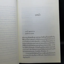 ชุด เลือดทระนง เพลิงพยัคฆ์ + ไฟรักมังกร - ณารา รูปที่ 12