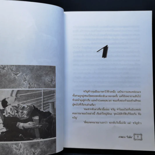 ภาพลวง - โบตั๋น รูปที่ 10