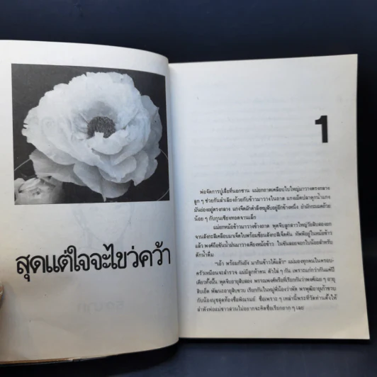 สุดแต่ใจจะไขว่คว้า - โบตั๋น รูปที่ 9