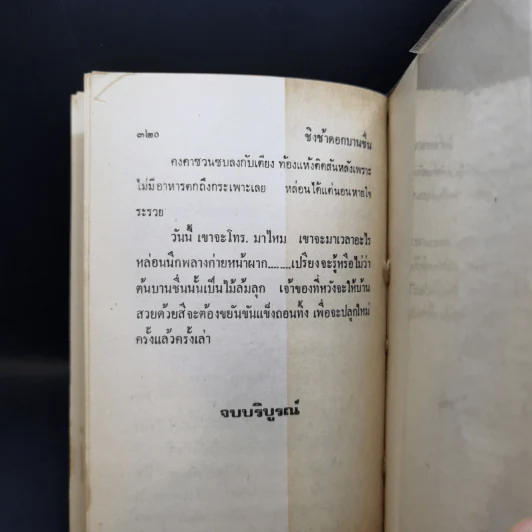 หน้าต่างบานแรก - กฤษณา อโศกสิน รูปที่ 11