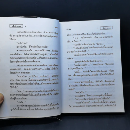 เมียข้างถนน - ชลาลัย รูปที่ 10