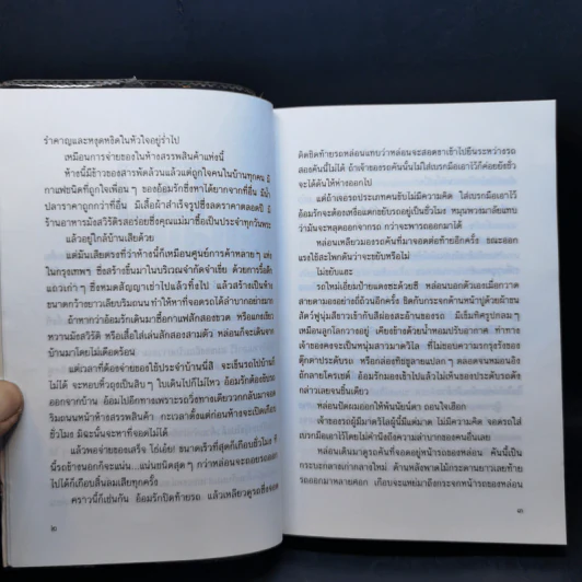 หลงเงา - ว.วินิจฉัยกุล รูปที่ 10