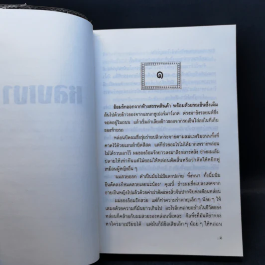 หลงเงา - ว.วินิจฉัยกุล รูปที่ 9