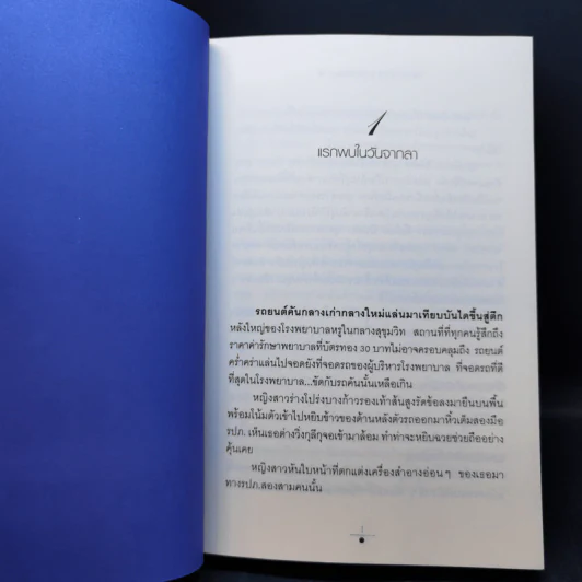 บัลลังก์สายหมอก 2 เล่มจบ - วรรณวรรธน์ รูปที่ 10
