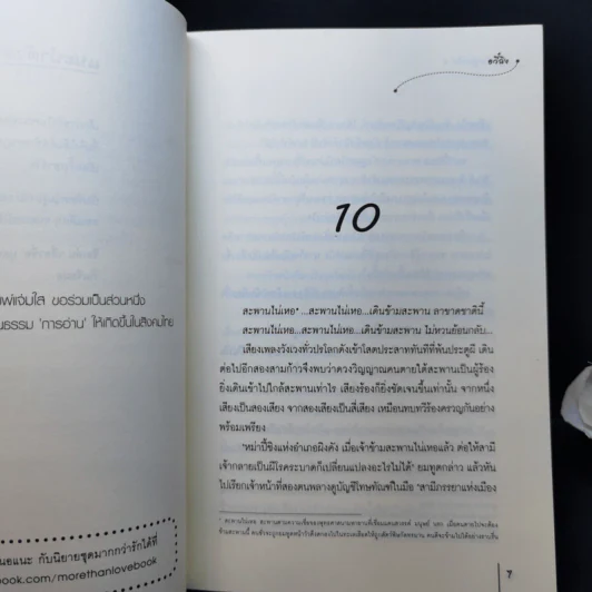 นิยายแจ่มใส ภูตรักปาฏิหาริย์ 2 เล่มจบ - อวี๋ฉิง รูปที่ 12