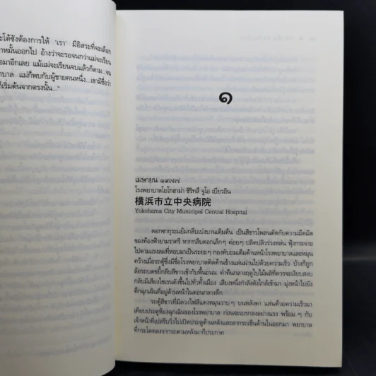 Rising Sun รอยฝันตะวันเดือด + สายเลือดแดนตะวัน + รอยรักหักเหลี่ยมตะวัน - ณารา รูปที่ 10