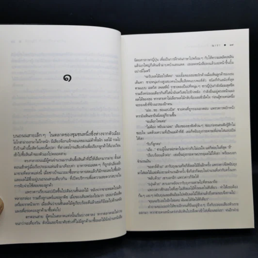 Rising Sun รอยฝันตะวันเดือด + สายเลือดแดนตะวัน + รอยรักหักเหลี่ยมตะวัน - ณารา รูปที่ 20