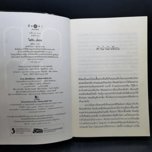ชุด เลือดทระนง เพลิงพยัคฆ์ + ไฟรักมังกร - ณารา รูปที่ 11