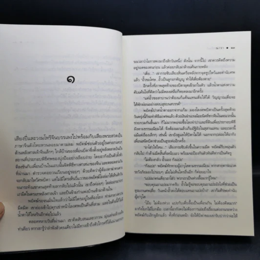 ชุด เลือดทระนง เพลิงพยัคฆ์ + ไฟรักมังกร - ณารา รูปที่ 9