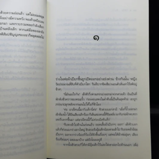 ชุด เลือดทระนง เพลิงพยัคฆ์ + ไฟรักมังกร - ณารา รูปที่ 13