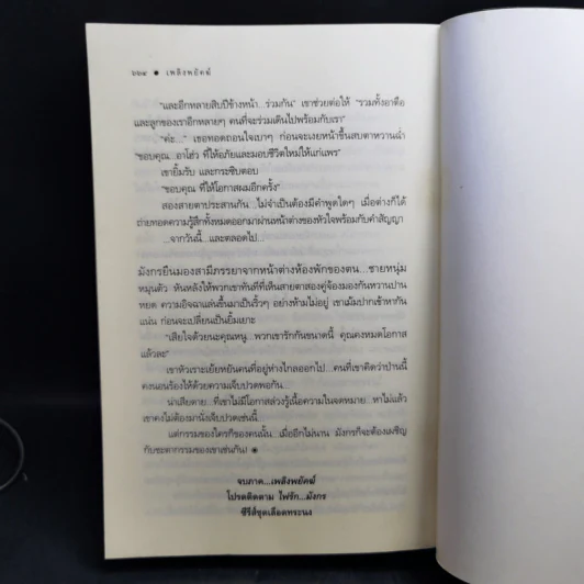 ชุด เลือดทระนง เพลิงพยัคฆ์ + ไฟรักมังกร - ณารา รูปที่ 10