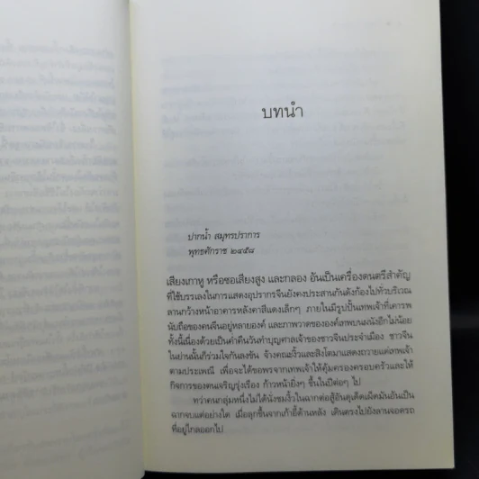 ชุด เลือดทระนง เพลิงพยัคฆ์ + ไฟรักมังกร - ณารา รูปที่ 12