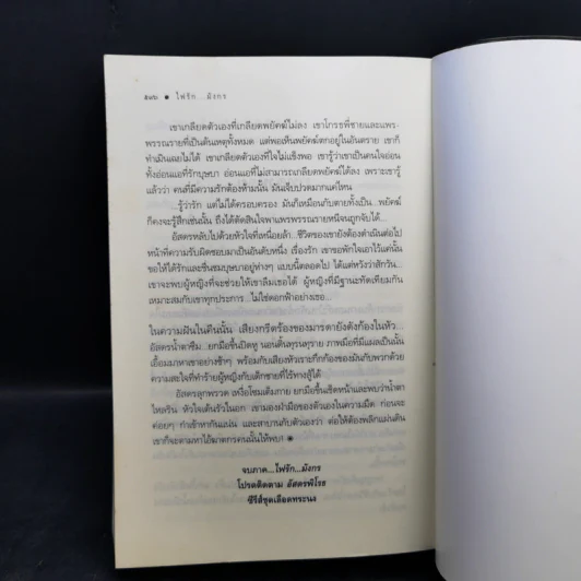 ชุด เลือดทระนง เพลิงพยัคฆ์ + ไฟรักมังกร - ณารา รูปที่ 14