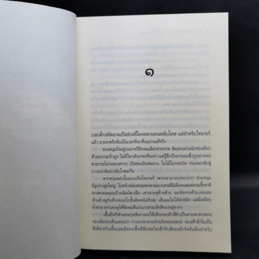 ชุด แวมไพร์บราเทอรส์ 3 เล่ม เจ้าเวหา เจ้ามหาสมุทร เจ้าพสุธา รูปที่ 10