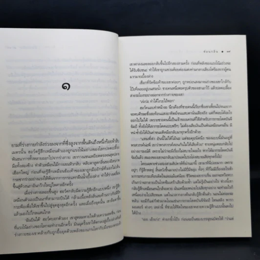 ชุด แวมไพร์บราเทอรส์ 3 เล่ม เจ้าเวหา เจ้ามหาสมุทร เจ้าพสุธา รูปที่ 13