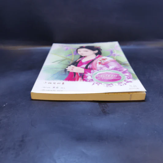 นิยายแจ่มใส เด็กรับใช้จำแลง - เฉียวอัน รูปที่ 4