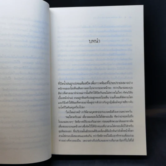 แสงตะวันพระจันทร์แรม - ณารา ซ่อนกลิ่น รูปที่ 8