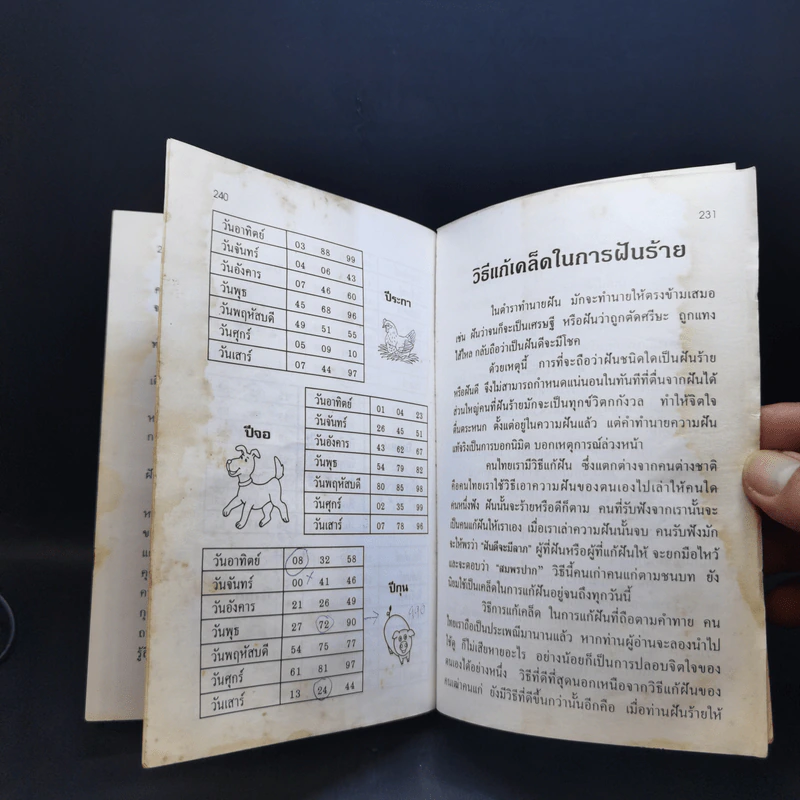 ตำราเสี่ยงโชค ตัวเลขทำนายฝัน รูปที่ 14