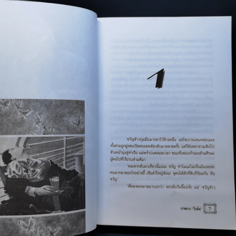 ภาพลวง - โบตั๋น รูปที่ 10