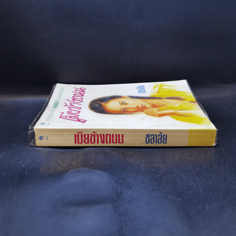เมียข้างถนน - ชลาลัย รูปที่ 3