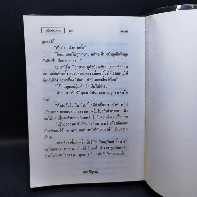 เมียข้างถนน - ชลาลัย รูปที่ 11