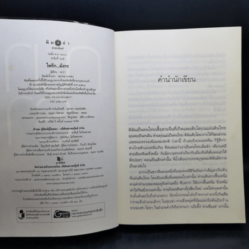 ชุด เลือดทระนง เพลิงพยัคฆ์ + ไฟรักมังกร - ณารา รูปที่ 11