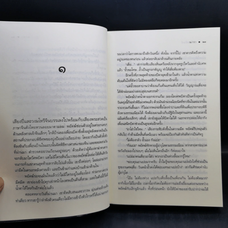 ชุด เลือดทระนง เพลิงพยัคฆ์ + ไฟรักมังกร - ณารา รูปที่ 9